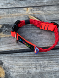 Custom Neon Dog Collar- red and red